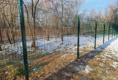 Металлический забор из 3D сетки Металлический забор из 3D сетки