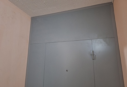 Металлическая дверь в тамбур