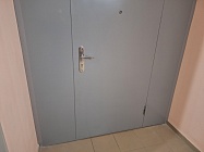 Металлическая входная дверь