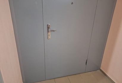 Металлическая дверь в тамбур