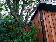 Сварная Конструкция